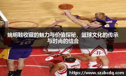 姚明鞋收藏的魅力与价值探秘，篮球文化的传承与时尚的结合