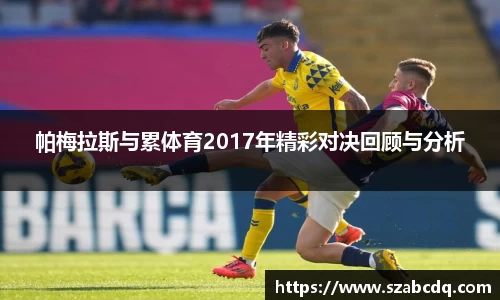 帕梅拉斯与累体育2017年精彩对决回顾与分析